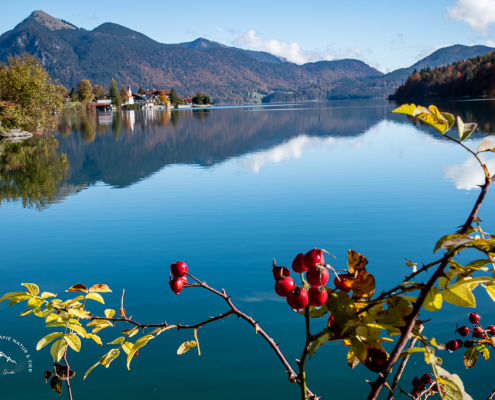 Walchensee Einsiedl